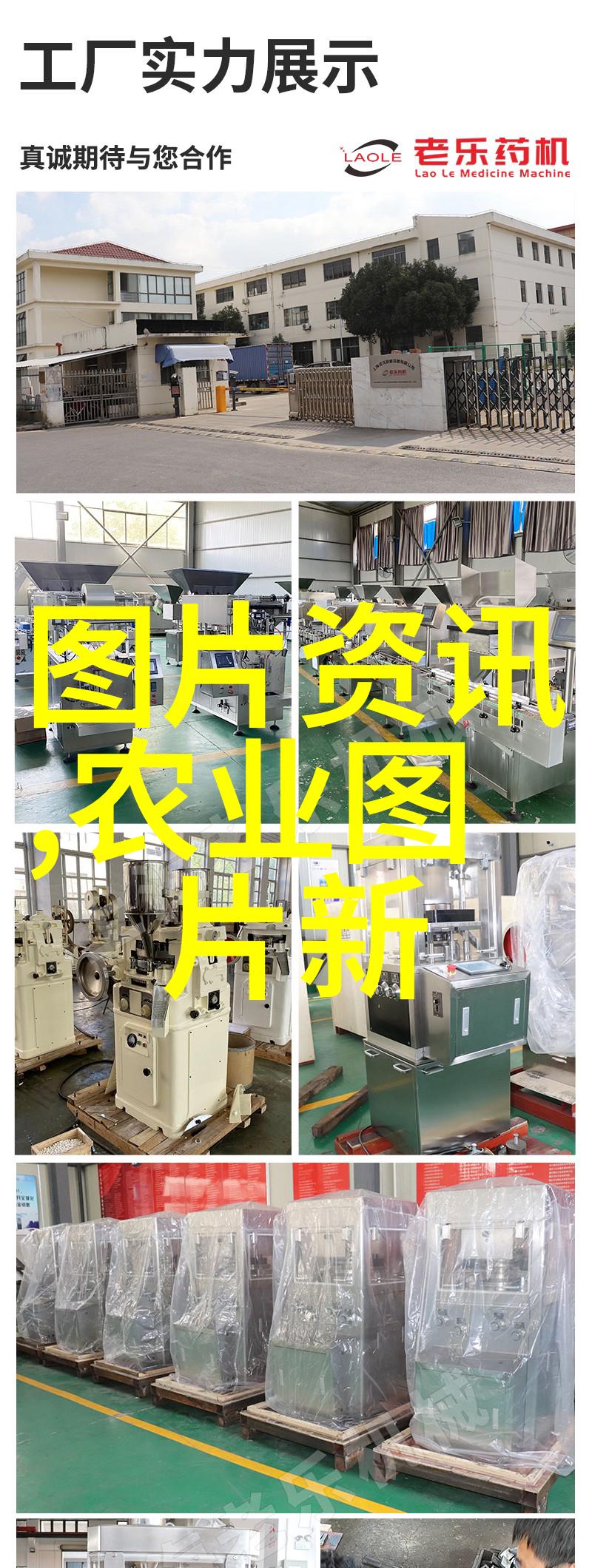 探索离我最近的花卉市场批发鲜花盛宴