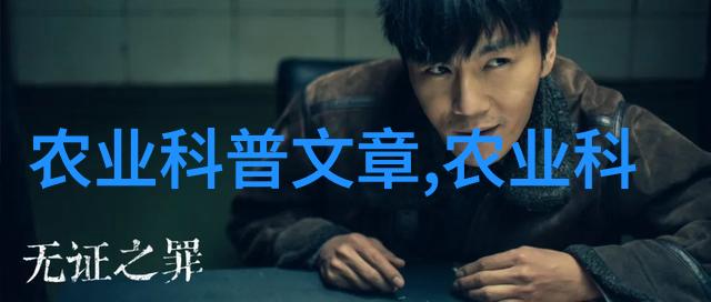 茶文化的哲学根源与现代传承