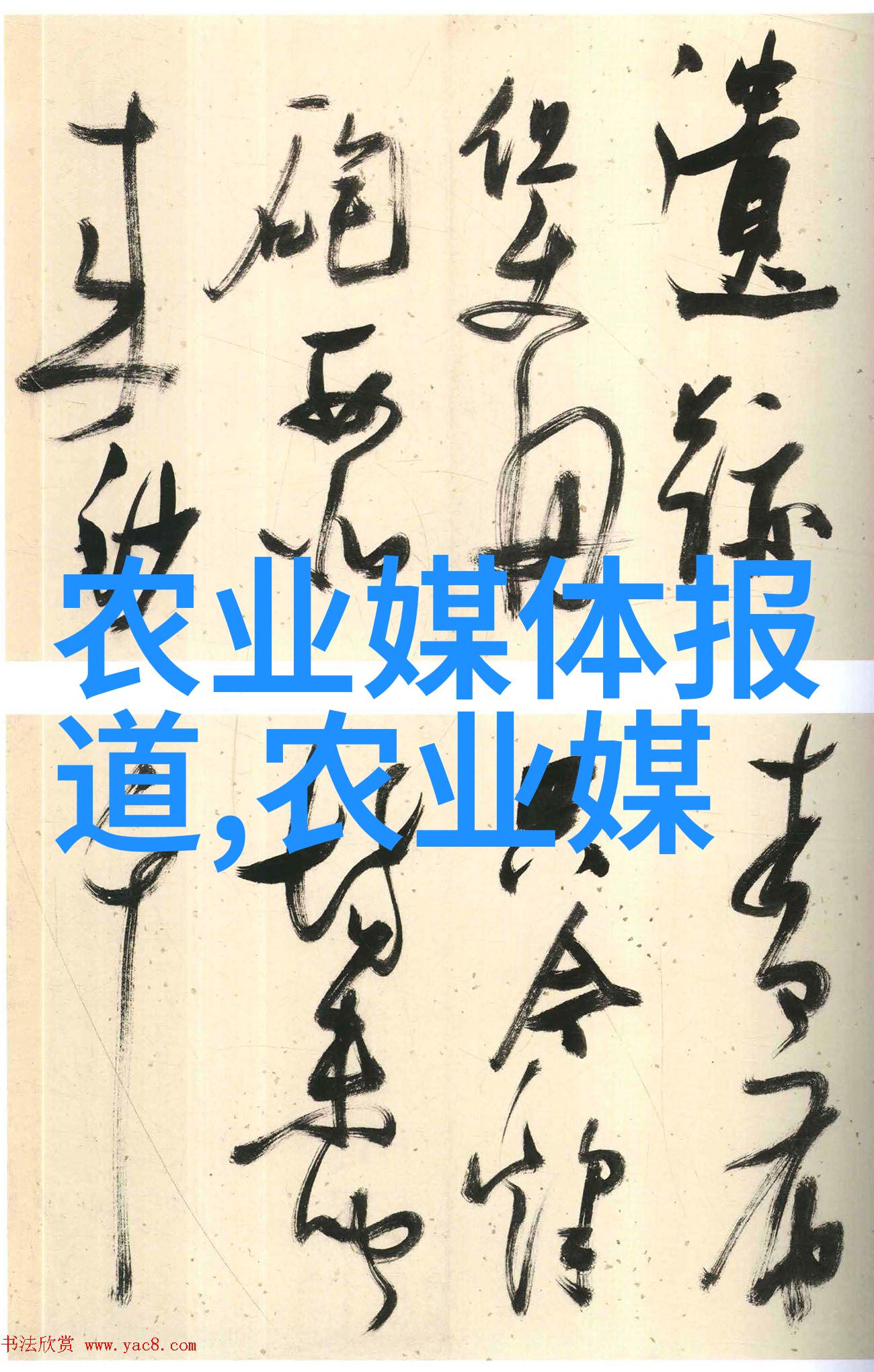 养胃秘籍十款最佳茶饮选择