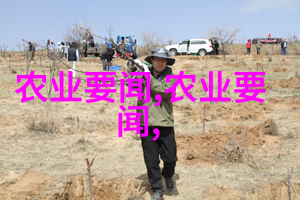 茶叶分类绿茶黑茶白茶等