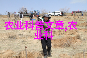 茶文化ppt课件 - 沉浸在千年传承的香气中探索茶文化的精髓