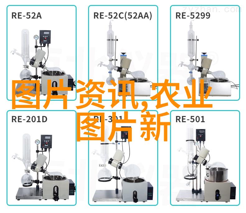 黄瓜在不同季节的最佳播种时间是什么