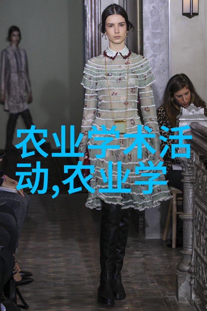 羊群管理高效的羊群管理技巧