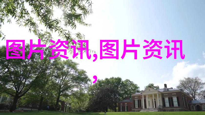 蜂舞编织深入养蜂的艺术与智慧