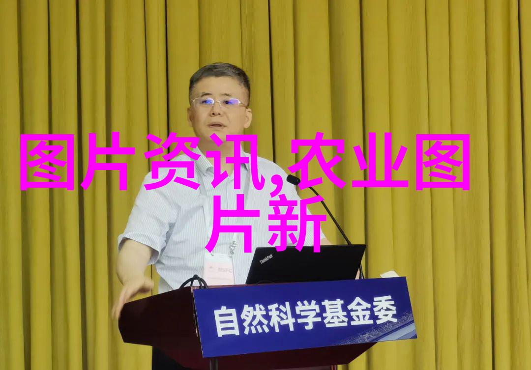 从零到英雄初学者必备的黄瓜种植知识总结