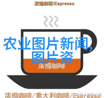 尝鲜小鸡乐趣探秘迈开腿让尝尝你的小鸡视频中的美味与魅力