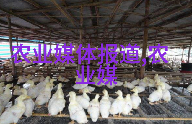 学技术哪个行业最吃香码农变身科技巨擘揭秘IT界的金钱与梦想
