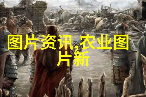 四季常青不依赖昆虫助力选择适合城市生活的小型多肉植物