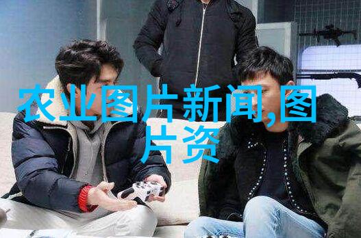 一亩大棚投资全解析成本估算收益预测与风险评估