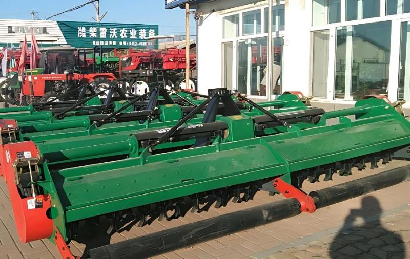 家中养什么花好养又聚财 - 绿意盎然的财富之花选择理想的室内外植物