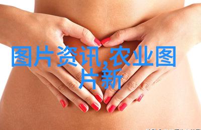 山东聊城推进城乡物流园区一体化建设