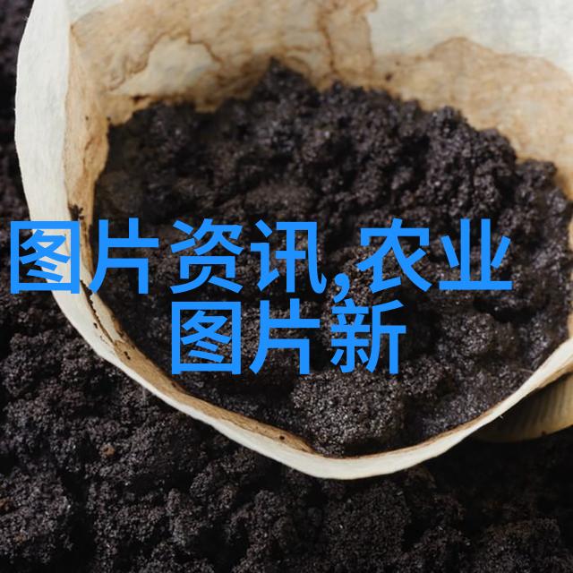 龙鳞多肉价格揭秘让你轻松选购心仪植物