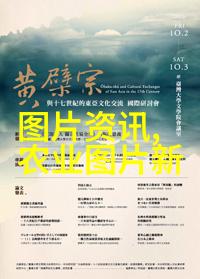 蜂部落智慧探索现代养蜂与新兴科技的融合视频