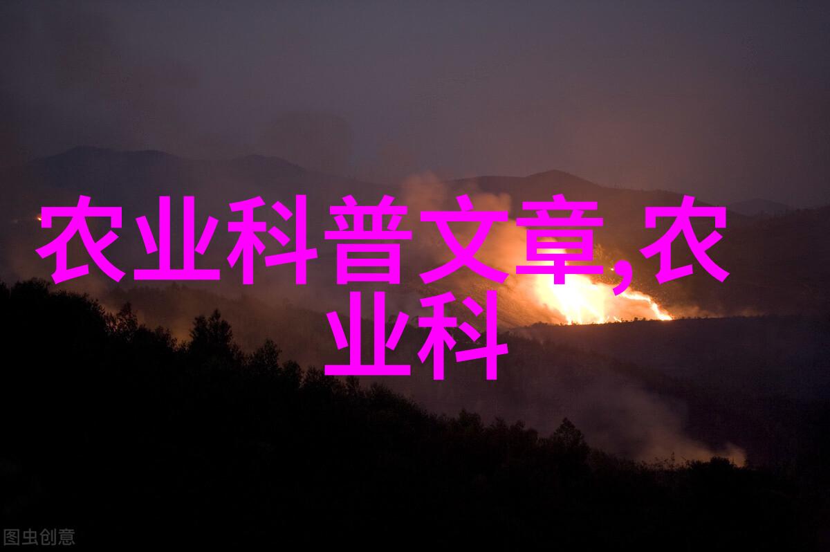 药材百科-从山间到药瓶探秘中国传统药材的文化与应用