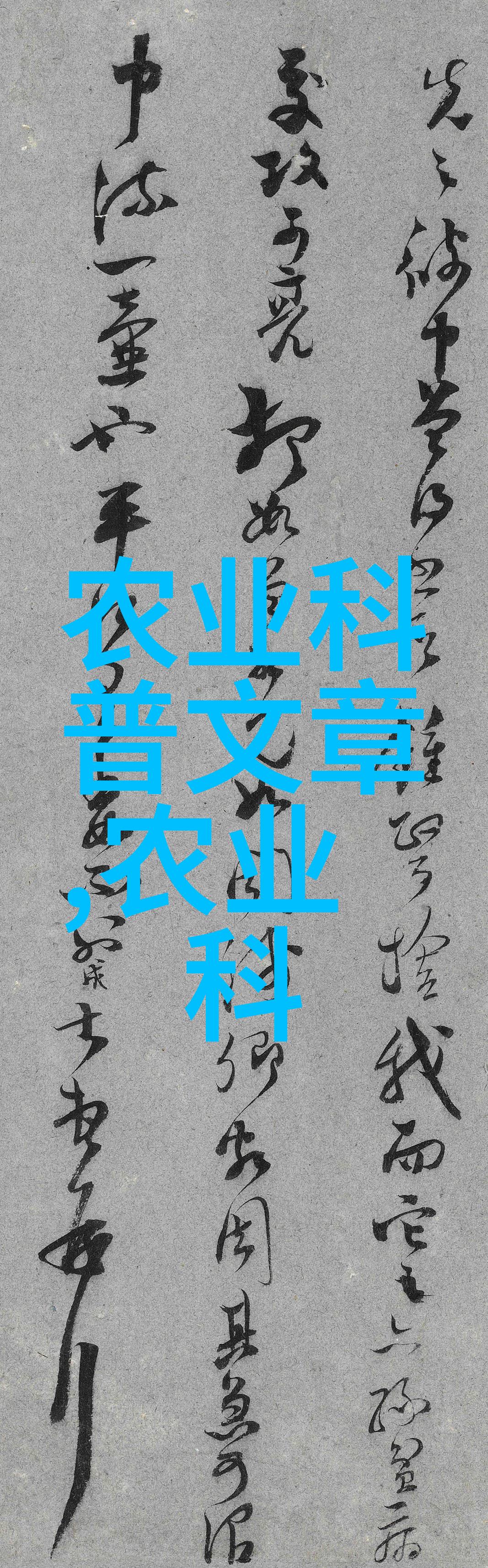 月光孤影如果月亮不抱你