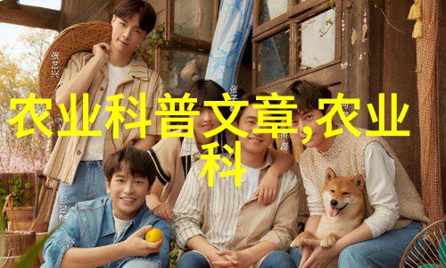 泡制技巧让你的每一壶茶都完美无瑕