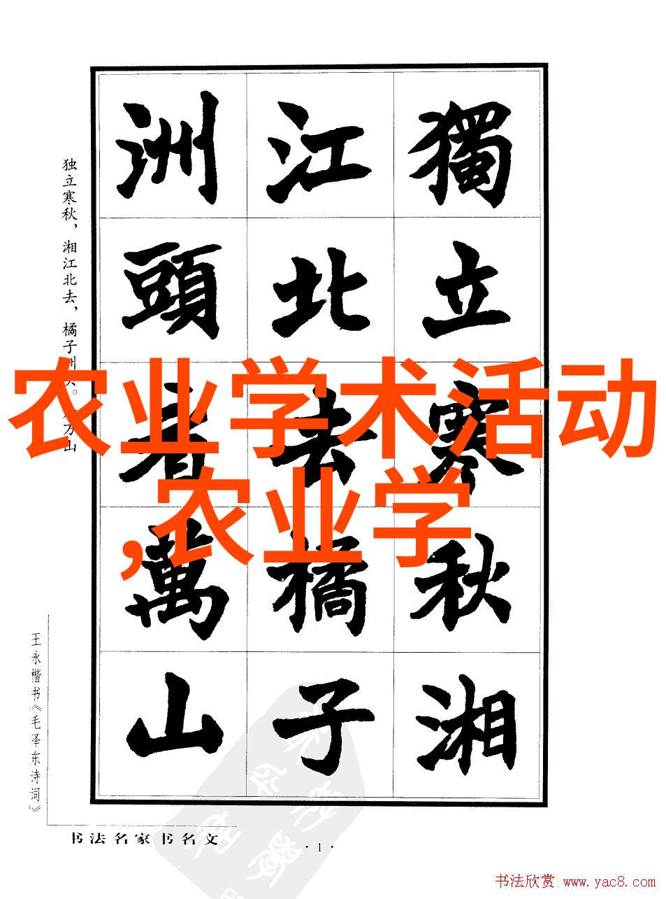 不仅解毒还能帮助刮油揭秘这些神奇绿茶功效