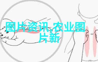 土地种什么最赚钱 - 金田银果揭秘高收益的农作物选择