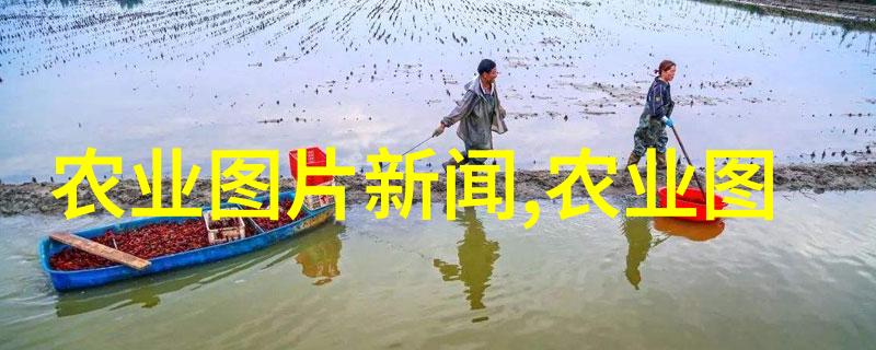 优雅的种植如何利用水果籽打造美观盆景