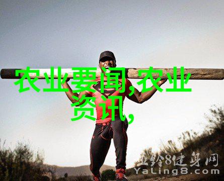 野菜大全 可食用我来教你怎么在野外找到美味的野菜