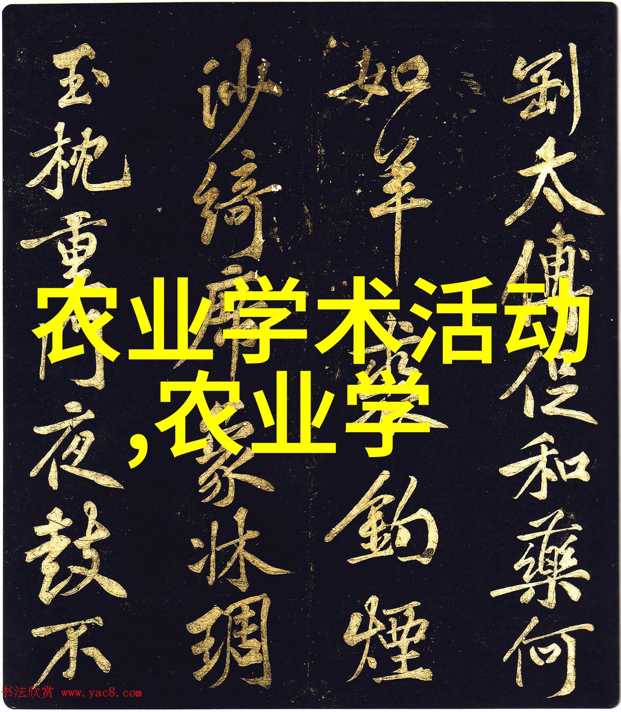 园艺之谜绿意盎然的职业迷雾