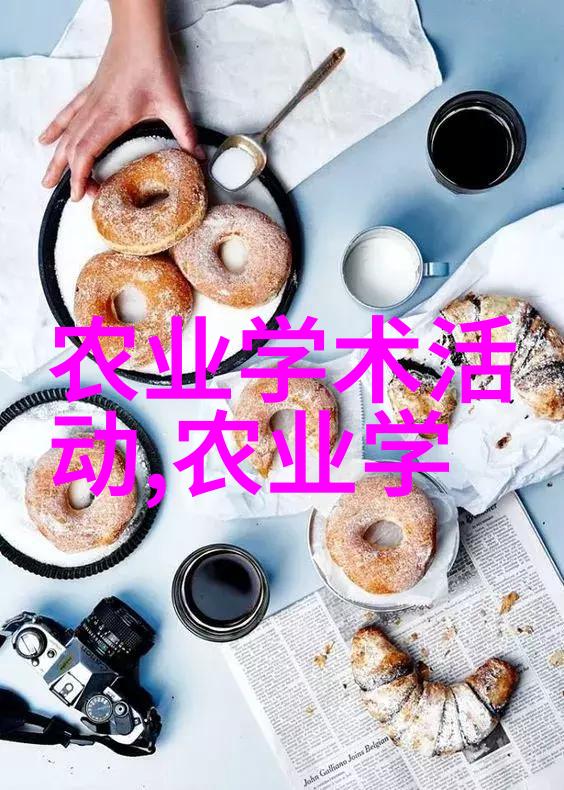 数字的旋律探索542的编码世界