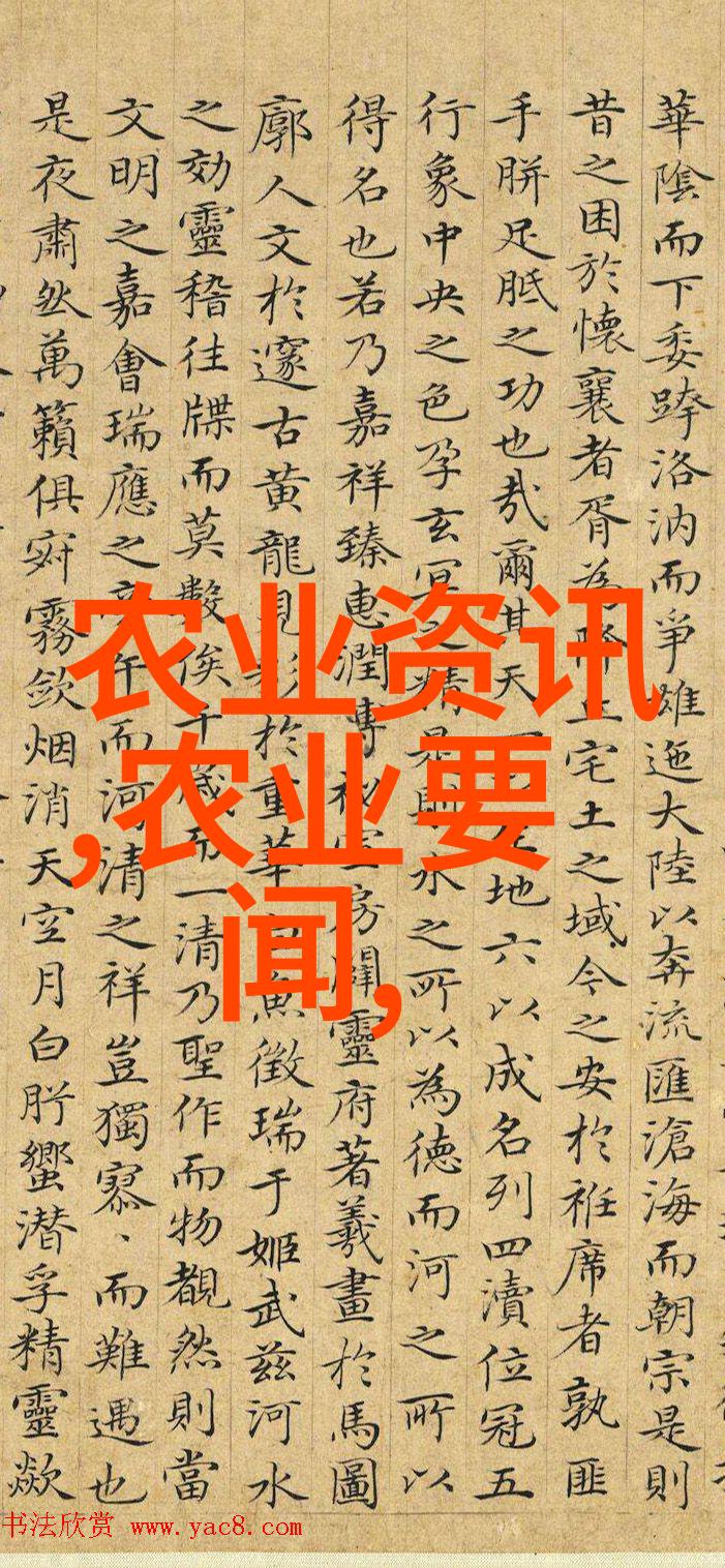 蜜蜂的金钱之谜50箱甜蜜如何变身年收入大户