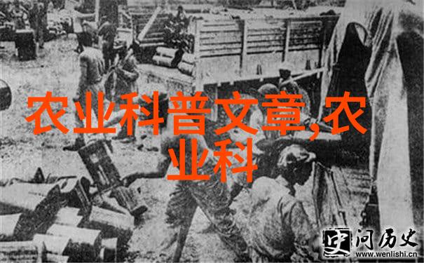机甲搬运者码垛机的钢铁之心