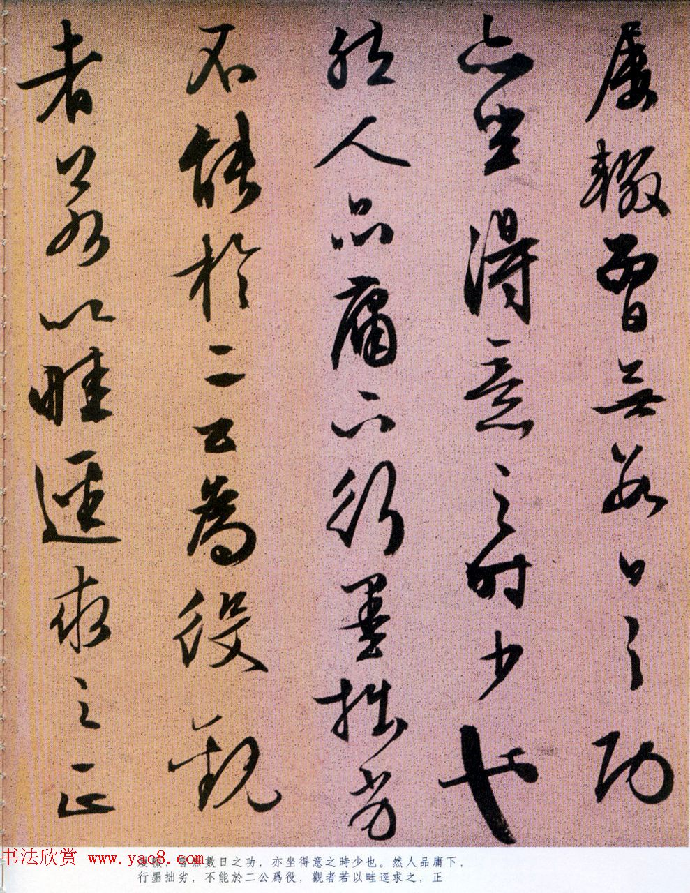 静谧晨曦台湾普洱山间的一抹绿
