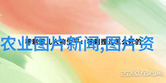 种植一亩大棚香椿的全套成本预算包括土壤处理苗木采购灌溉系统搭建施肥剂和防虫品等