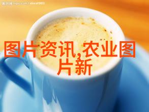 如何预防黄瓜细菌性病害的危害在中国养殖养羊网上了解相关知识保护你的物品安全