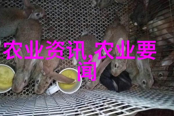 羊与牛的比较哪种农牧业更适合现代农业
