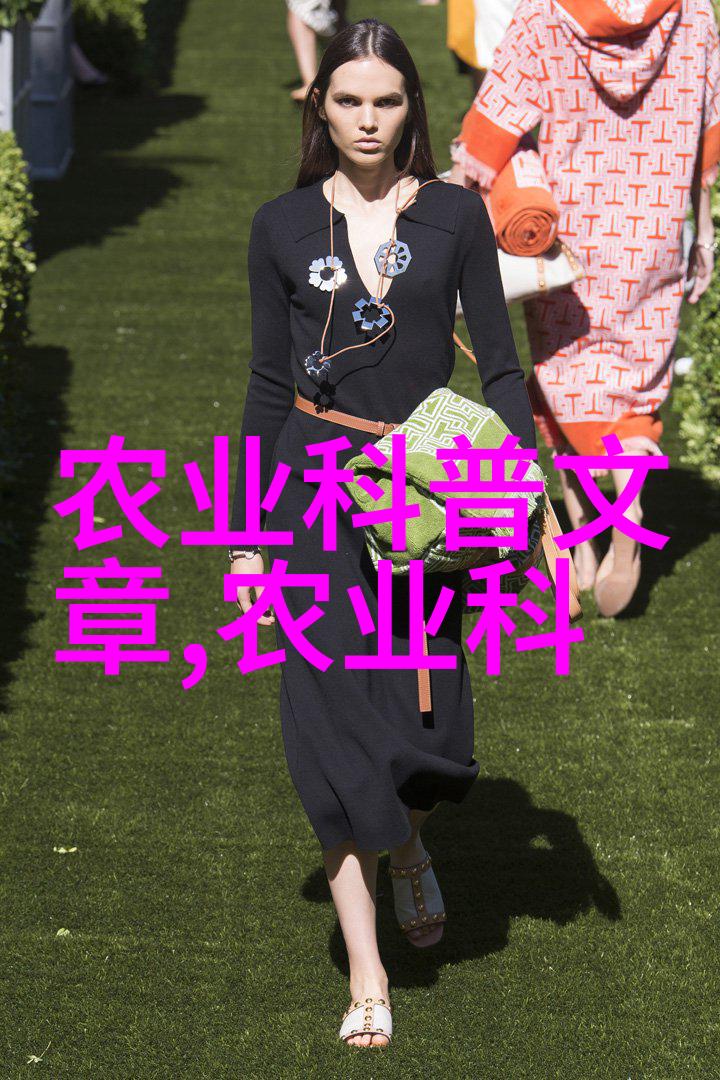 沙海中的秘密与少年的冒险