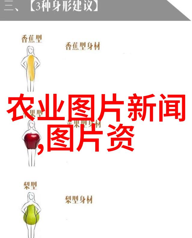 最赚钱的农业项目我的金钱树苗如何种下财富的果实
