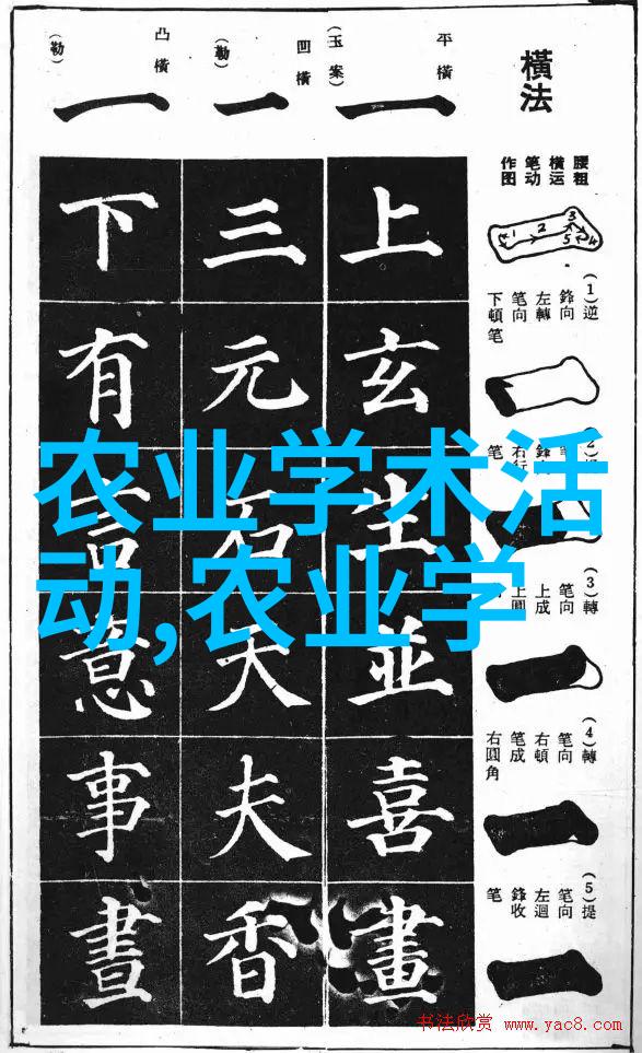 当出现问题时如何快速诊断并修复皮带机故障