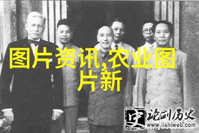 水泥搅拌车筑梦城市的不懈追求者
