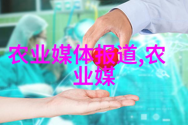 春暖花开郁金香的种植方法与最佳播种时间