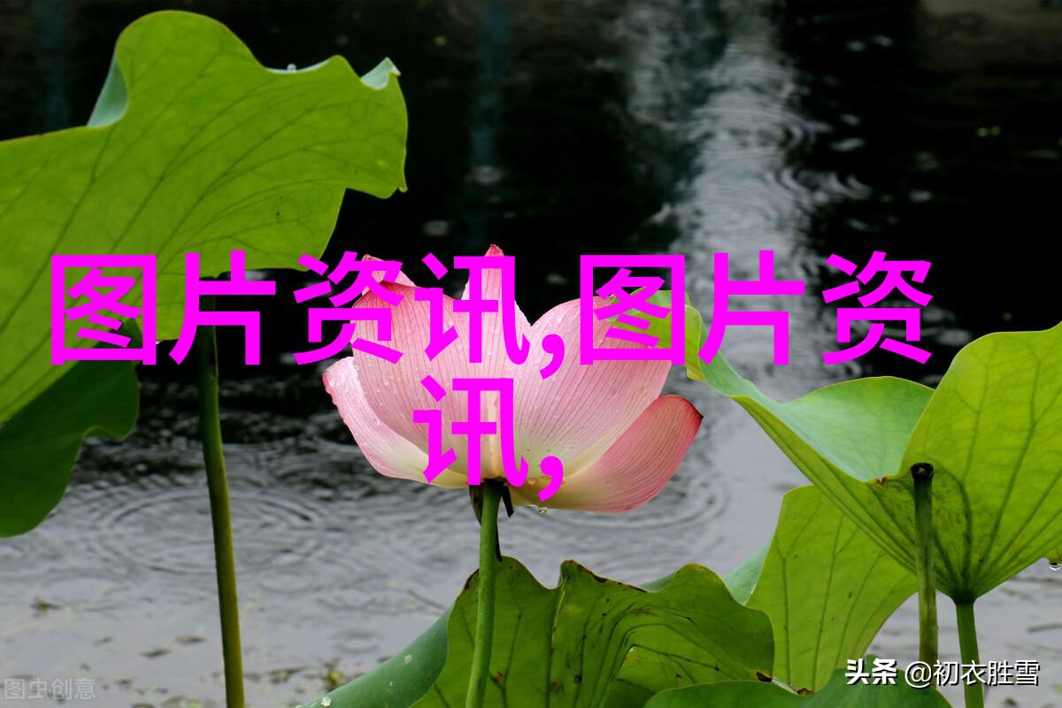 精灵森欢迎来到精灵之森