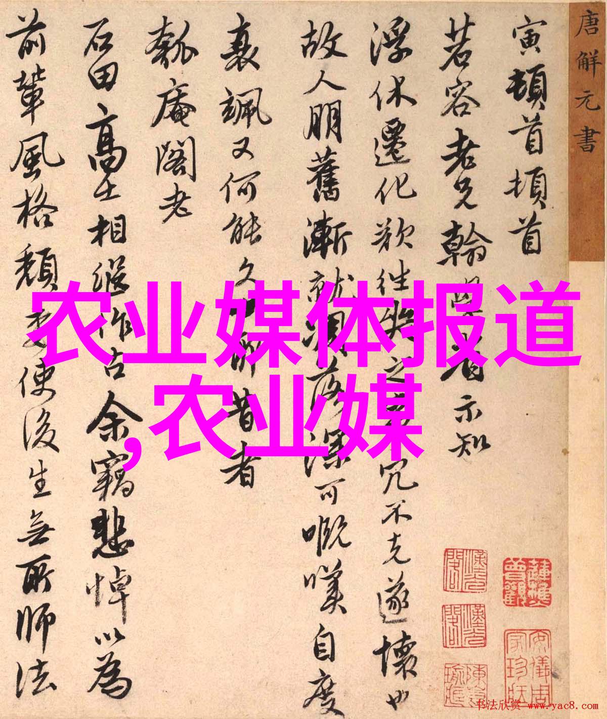 果树种植的省心之选那些几乎不需要管理的佳品