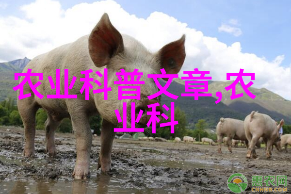 畜牧学-猪崽的成长秘诀