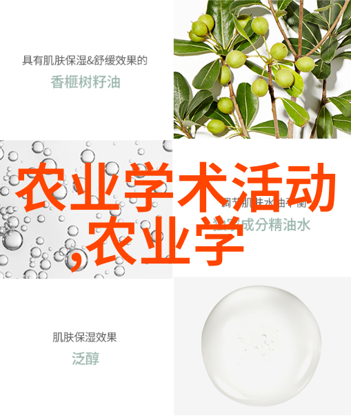 鲜艳水果蔬菜种子图片色彩斑斓的水果蔬菜种子展示
