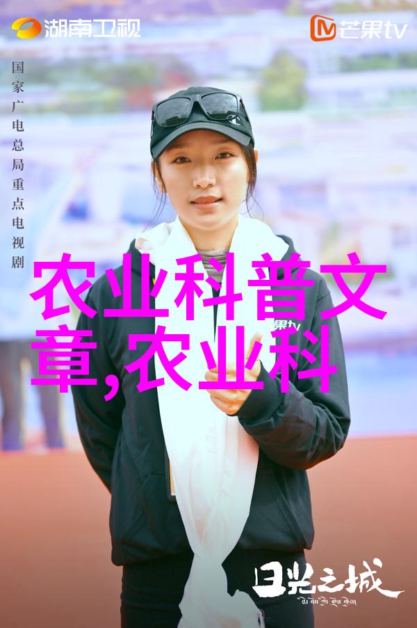 芝麻糖传统甜点中的健康选择
