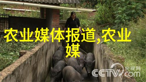 如何进行室内盆栽花卉的定期修剪