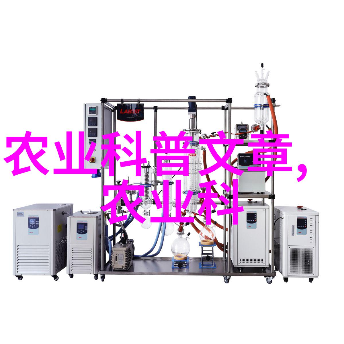 多久后我需要浇水刚刚撒下的花朵种子呢