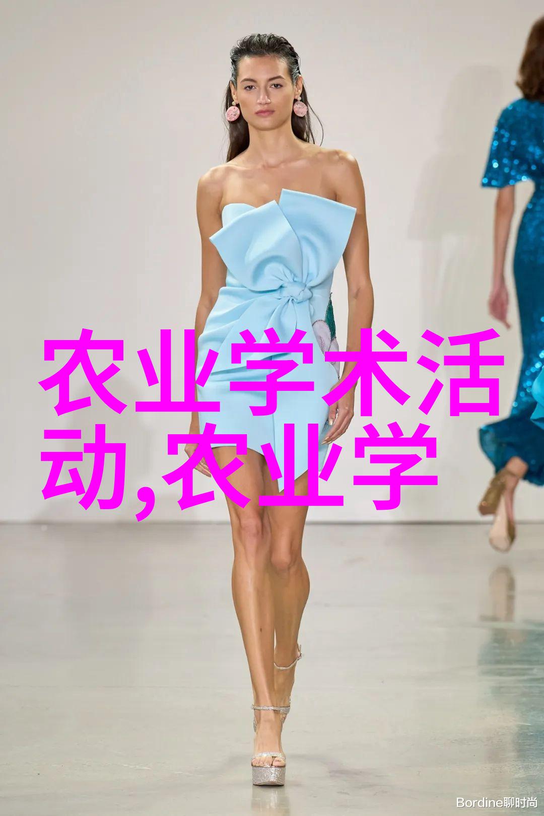 芹香缤纷探索根芹的美味与营养价值