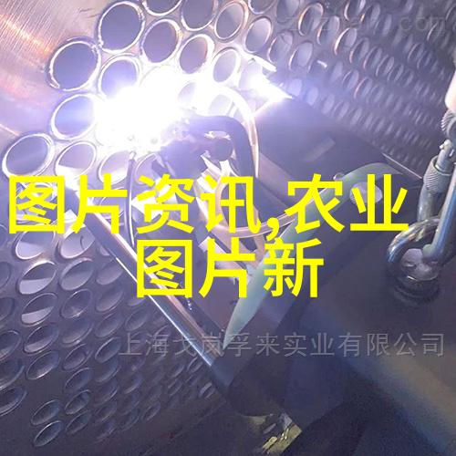 五指猪的奇迹五指猪奇妙的生态系统