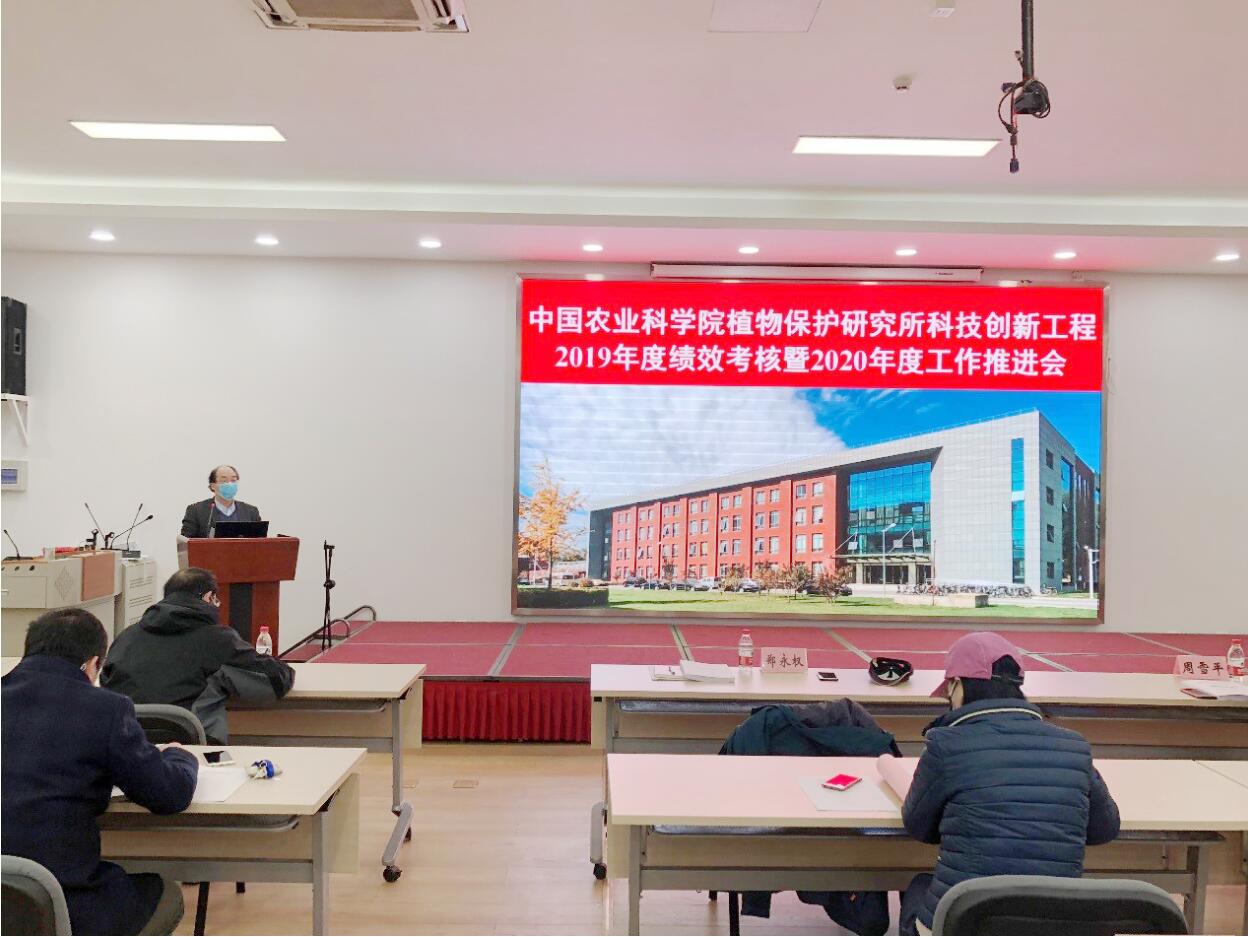 探秘山东十大花卉批发基地鲜花盛宴与绿意盎然的生态之旅