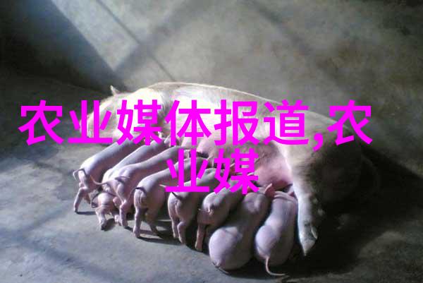 绿茵花海探索花卉种植培训基地的魅力与技巧