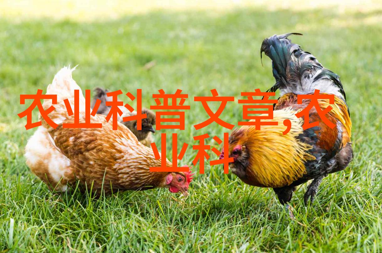 正规的果苗在哪里买我去超市看看有没有好果子种