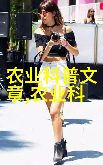 探索蜂群的多样性揭秘蜜蜂品种的丰富世界